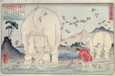Veinticuatro paradigmas: Tai Shun y los elefantes, pub. c.1830